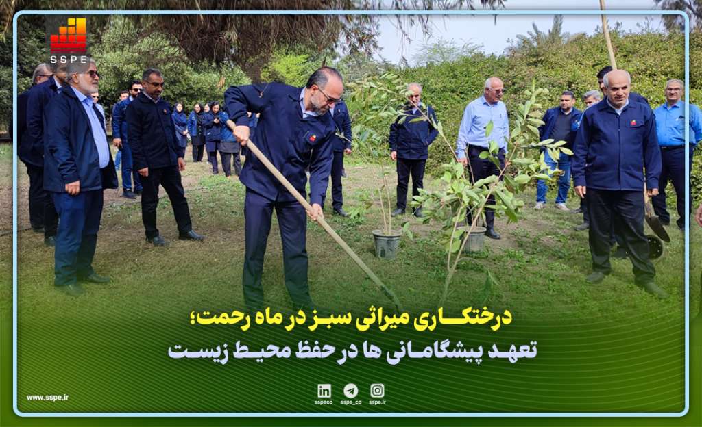 درختکاری، میراثی سبز در ماه رحمت؛